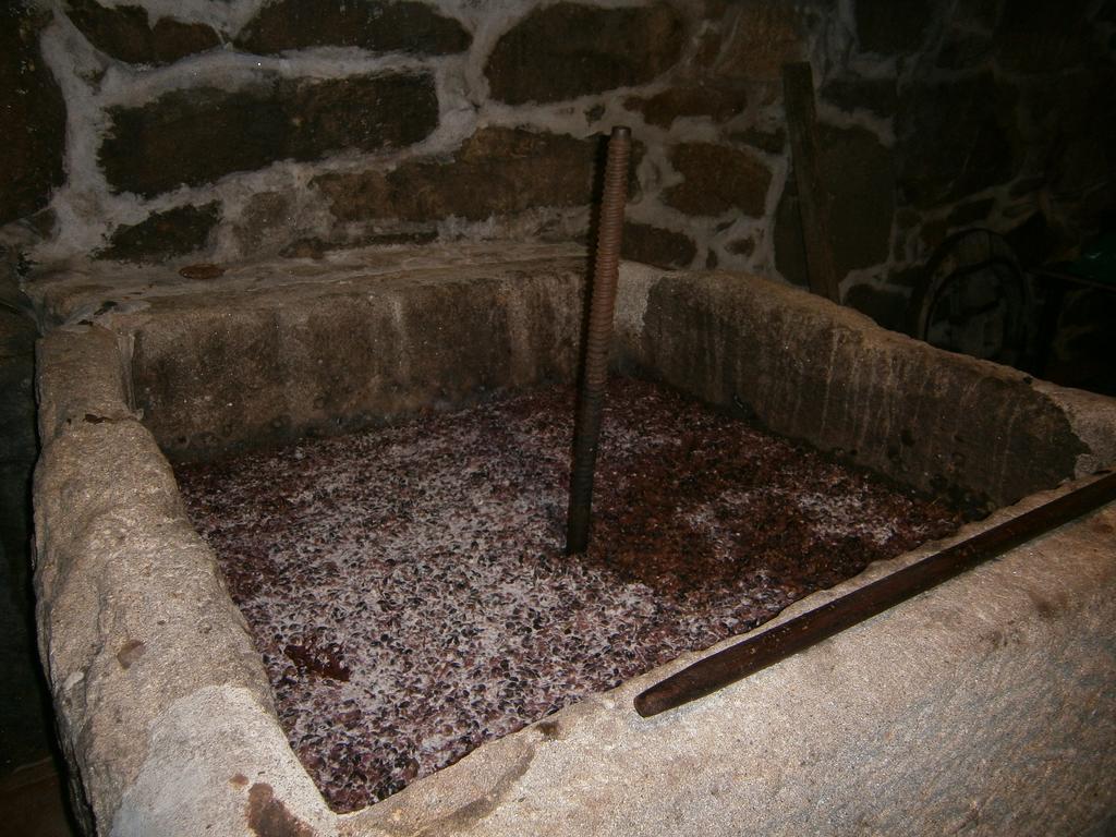 Ferienhaus Casa Da Costinha Cinfães