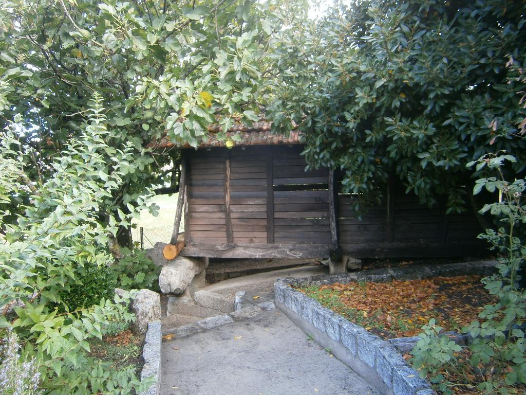 Casa vacanze Casa Da Costinha Cinfães