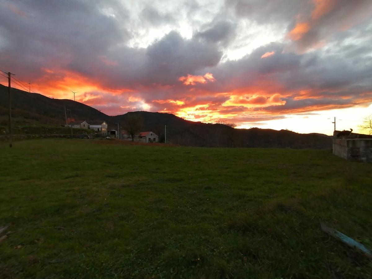 Ferienhaus Casa Da Costinha Cinfães