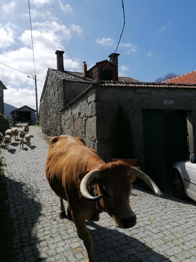 Casa Da Costinha *
